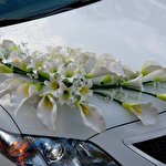 Александр CortegeUa #4684