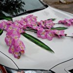 Александр CortegeUa #4684