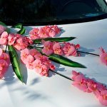 Александр CortegeUa #4684