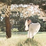 Дмитрий Барулин #3437