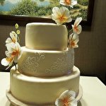 Оленка Сиротенко #954