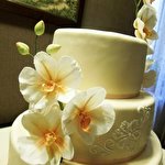 Оленка Сиротенко #954