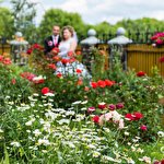 Олександр Коновал #4637