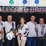 Legato Band  #9653