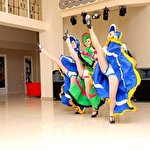 Шоу-балет ВІЗАВІ #1535