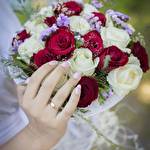 Игорь Петрович #8610