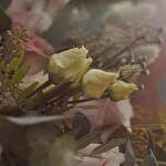 Олександр Урванцев #9181