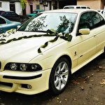 Дмитро Нірода #4614