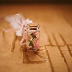 Яніна Доценко #1593