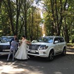 Володимир Royal Auto #5319