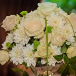 Весільна агенція Олександри Сторожук #1149