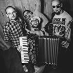 ВидровіДоли  cover band  #8586