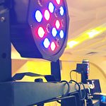 Роман Бессонов #2784