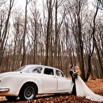 Vlad Кучеренко #2973