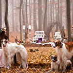 Vlad Кучеренко #2973