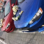 Володимир Лис #5907