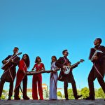 Євшан Зілля  #8277