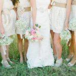 Дружка Прокатна #473