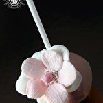 Луцьк Капкейк #5120