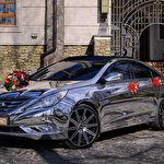 ЕКСКЛЮЗИВНЕ ДЗЕРКАЛЬНЕ Авто SONATA NEW #7389