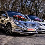 ЕКСКЛЮЗИВНЕ ДЗЕРКАЛЬНЕ Авто SONATA NEW #7389