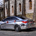 ЕКСКЛЮЗИВНЕ ДЗЕРКАЛЬНЕ Авто SONATA NEW #7389