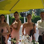 Zefir String Quartet #6585