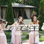 Zefir String Quartet #6585