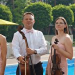 Zefir String Quartet #6585