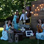 Zefir String Quartet #6585