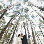 Андрій Тарасюк #533