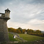 Анастасія Костюк #211