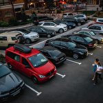 Максим Солодкий #1088