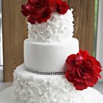 Світлана Вікторівна #5162