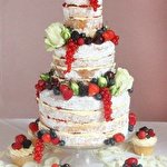 Світлана Вікторівна #5162