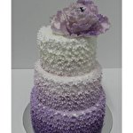 Світлана Вікторівна #5162