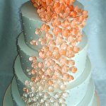 Ірина Хомко #4927