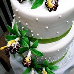 Ніна Левчук #7541