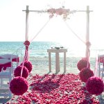 Lovely Day Biz #7215