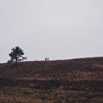 Алексей Седлецкий #3402