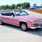 Светлана Авто на свадьбу #4680