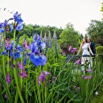 Василь Роган #233