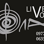 Юлія Вонсович #6923