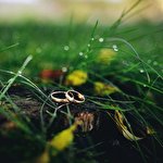 Танюшка Новак #1527