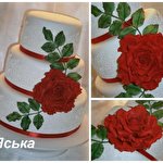 Яна Донец #5011