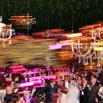 Дима Тараненко #587