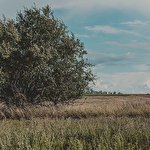 Михаил Новосельский #4400