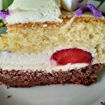 Наталя Воробій #4841