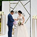 Еліт Декор  #10105