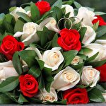 Микола Карабін #4630